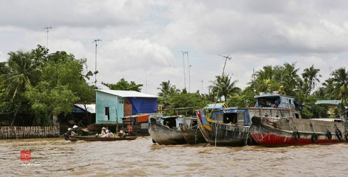 Tham quan vẻ đẹp chợ nổi Cái Bè 